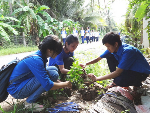 Đoàn viên, thanh niên tham gia trồng cây xanh tại xã Nhơn Thạnh